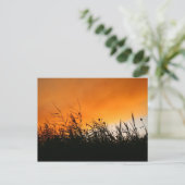 Whispering Reeds op Smokey Sunset Briefkaart (Staand voorkant)