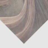 Whispers bij de Roos Gate Tissuepapier (Detail)