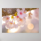 Whispers of Spring – Cherry Blossoms at Dusk Poster (Voorkant)