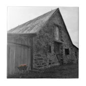 Whispers of the Past Plastic Keramische Tegel Tegeltje (Voorkant)