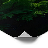 Whispers of the Valley: het gouden uur van de Natu Poster (Hoek)