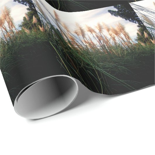 Whispers of the Wind: De Witte Pampas Grassen Cadeaupapier (Rol Hoek)