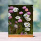 Whispers of Wildflowers Acryl Bord (Neutraal)