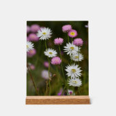 Whispers of Wildflowers Acryl Bord (Voorkant)