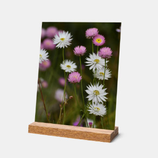 Whispers of Wildflowers Acryl Bord