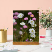 Whispers of Wildflowers Acryl Bord (Huwelijk)