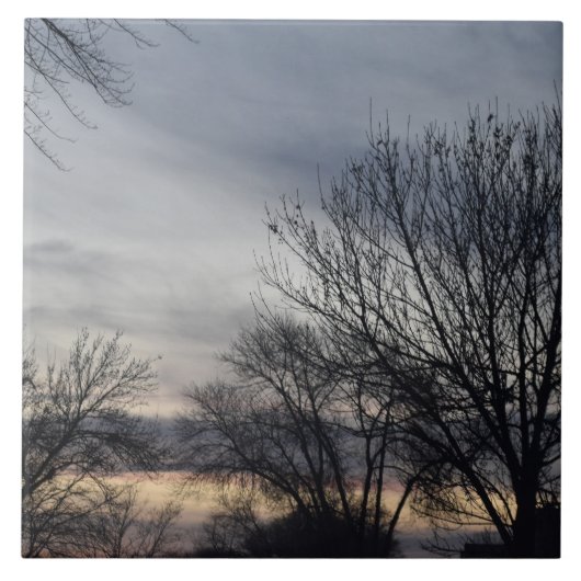 Whispers of Winter  Tegeltje (Voorkant)