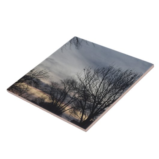 Whispers of Winter  Tegeltje (Zijkant)