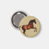 Whistlejacket horse by George Stubbs Magneet (Voorkant / Achterkant)