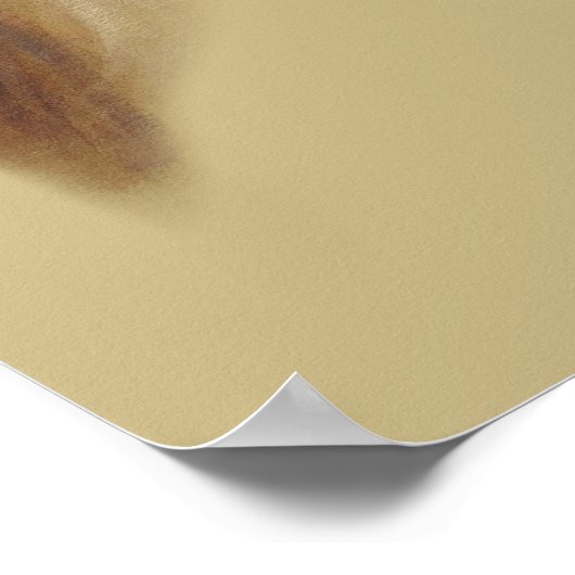 Whistlejacket horse by George Stubbs Poster (Hoek)