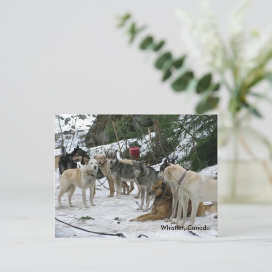 Whistler, Canada Briefkaart (Staand voorkant)