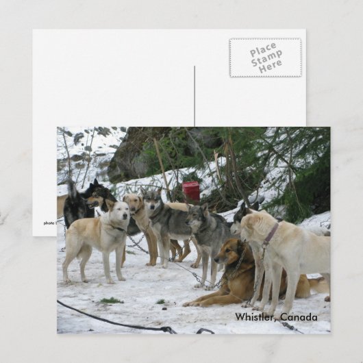 Whistler, Canada Briefkaart (Voorkant / Achterkant)