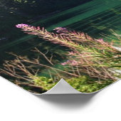 Whistler Lake Poster (Hoek)