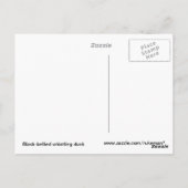 Whistling Duck Briefkaart (Achterkant)