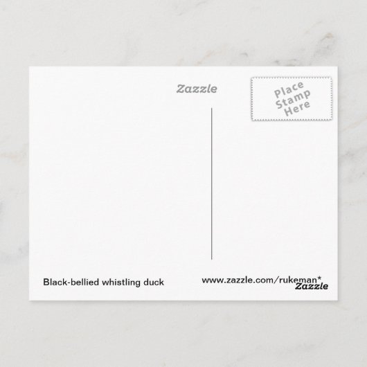 Whistling Duck Briefkaart (Achterkant)