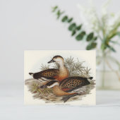 Whistling Duck van Elizabeth Gould Briefkaart (Staand voorkant)