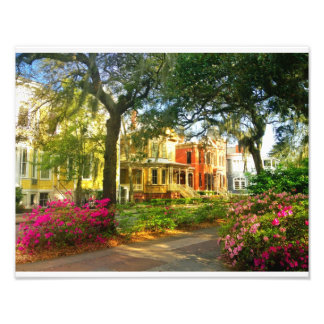 Whitaker Street in maart Foto Afdruk