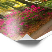 Whitaker Street in maart Foto Afdruk (Hoek)