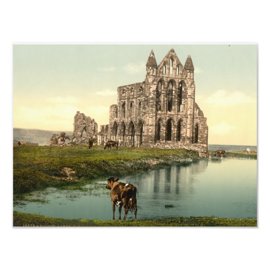 Whitby Abbey II, Whitby, Yorkshire, Engeland Foto Afdruk (Voorkant)