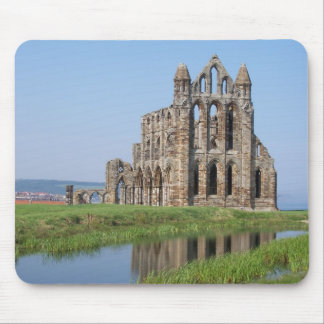 Whitby Abbey Whitby North Yorkshire England Muismat