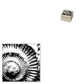 Whitby-ammoniet Rubberstempel (Gestempeld)