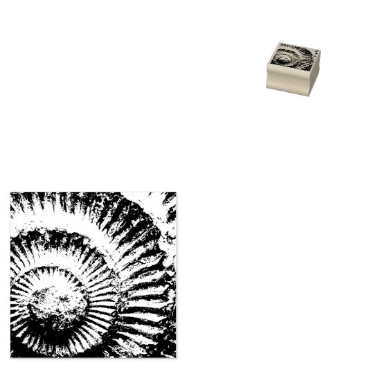 Whitby-ammoniet Rubberstempel (Gestempeld)