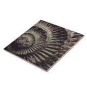 Whitby Ammonite — grote indruk Tegeltje (Zijkant)