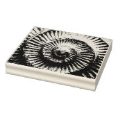 Whitby Ammonite Rubberstempel (Stempel)