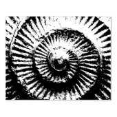 Whitby Ammonite Rubberstempel (Afrduk)