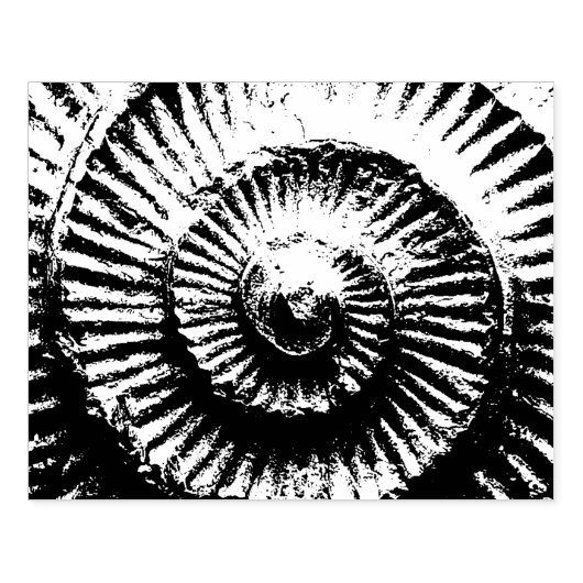 Whitby Ammonite Rubberstempel (Afrduk)