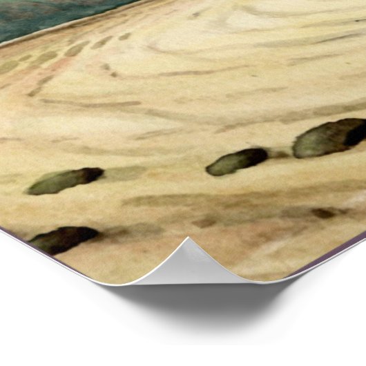 whitby zee and cliffs England Poster (Hoek)