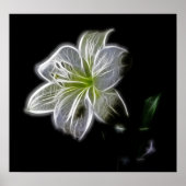 white-82698 white lily flower natuur Beautha digit Poster (Voorkant)