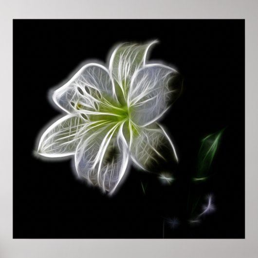 white-82698 white lily flower natuur Beautha digit Poster (Voorkant)