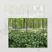 White A field of trilliums, Niagara Herfst bloemen Briefkaart (Voorkant / Achterkant)
