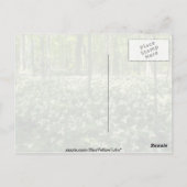 White A field of trilliums, Niagara Herfst bloemen Briefkaart (Achterkant)