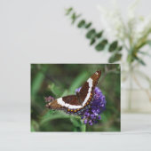 White Admiral Butterfly Briefkaart (Staand voorkant)