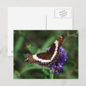 White Admiral Butterfly Briefkaart (Voorkant / Achterkant)
