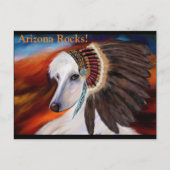 White Afghan Hound Briefkaart (Voorkant)
