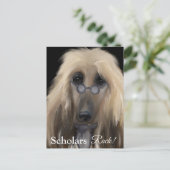 White Afghan Hound Briefkaart (Staand voorkant)