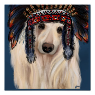 White Afghan Hound Perfect Poster