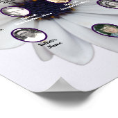 White African Daisy Oval Ancestor Photos Poster (Hoek)