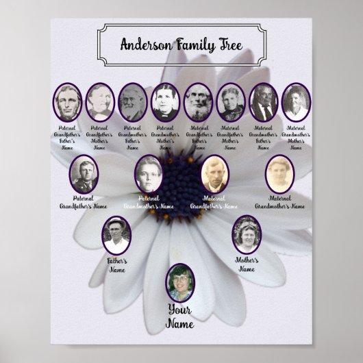 White African Daisy Oval Ancestor Photos Poster (Voorkant)