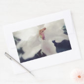 White African Violet Flower Rechthoekige Sticker (Envelop)