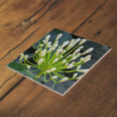 White Agapanthus Buds Floral Tegeltje