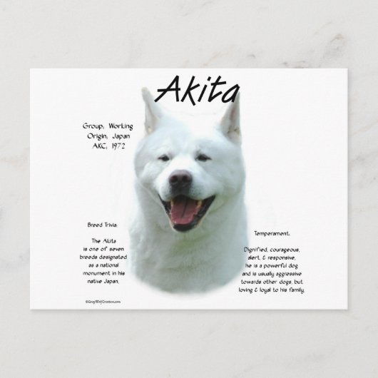 White Akita Geschiedenis Briefkaart (Voorkant)