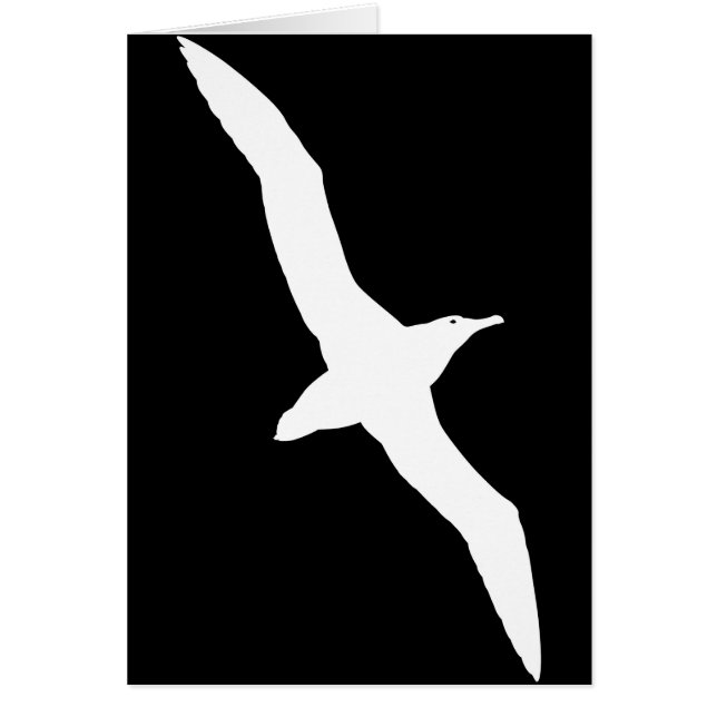 White Albatross Bird in Flight (Voorkant)