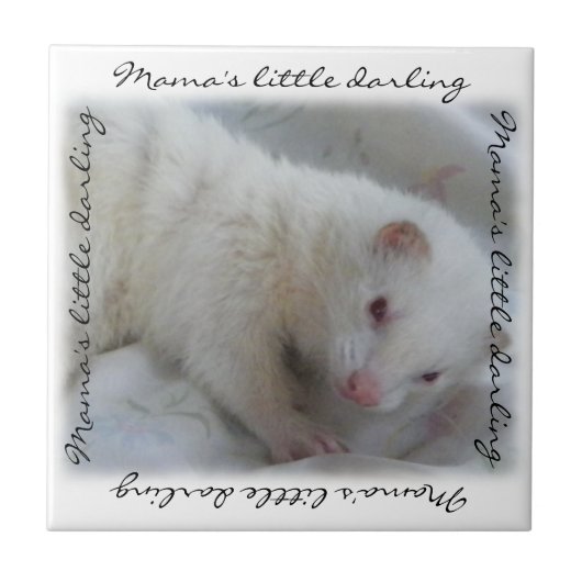 White Albino Ferret Afbeelding Tegeltje (Voorkant)