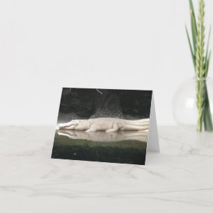 White Alligator Note Card Kaart