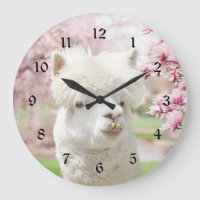 White Alpaca