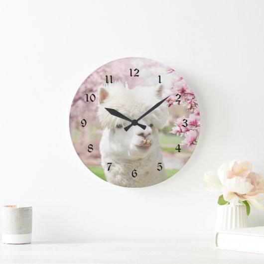 White Alpaca Grote Klok (Huis)